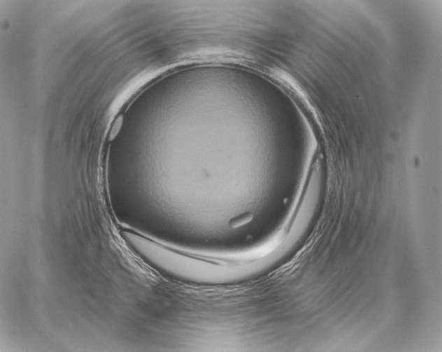 X0000059841336200511111735