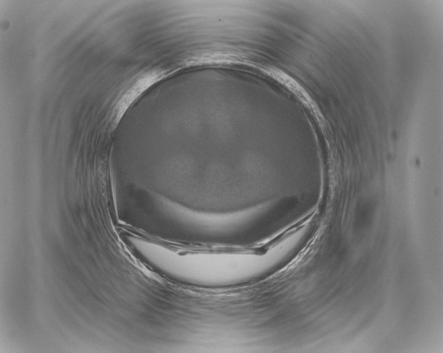 X0000059841337200511111735