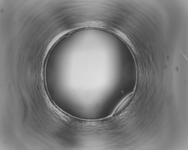 X0000059841339200511111735