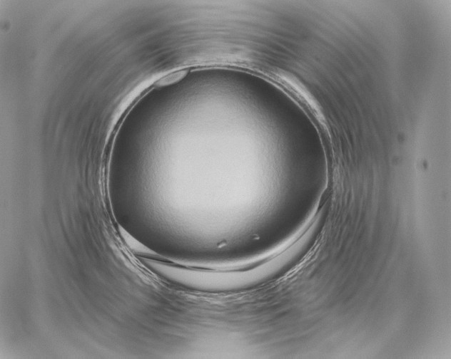 X0000059841340200511111735