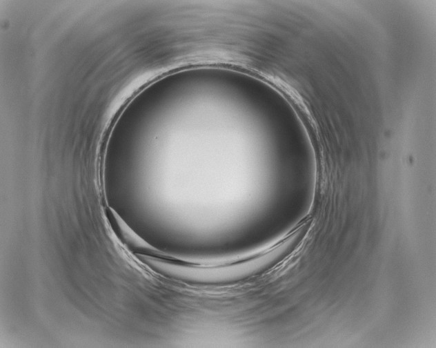 X0000059841342200511111735