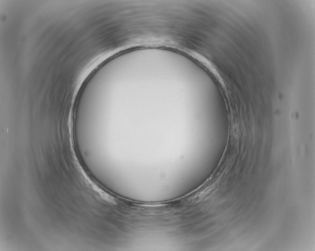 X0000059841343200511111735