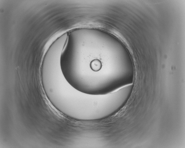 X0000059841344200511111735