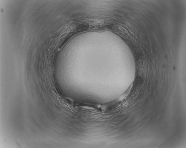 X0000059841345200511111734