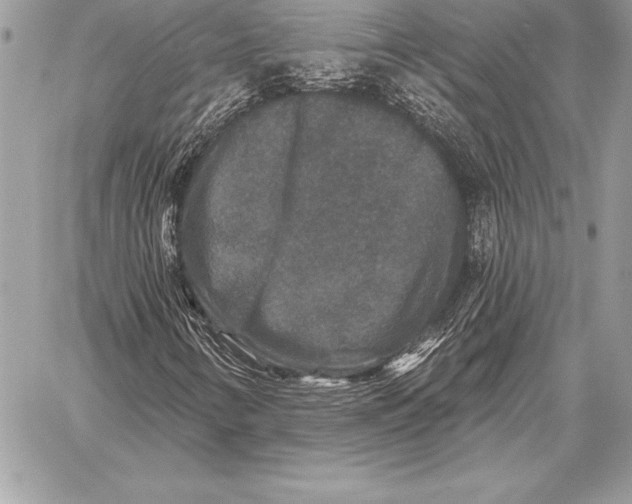 X0000059841346200511111734