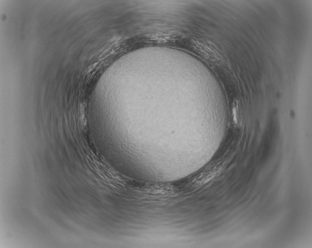 X0000059841347200511111734