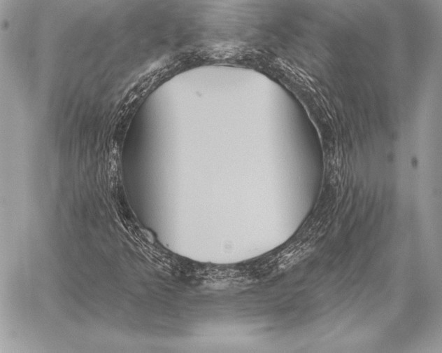 X0000059841349200511111734