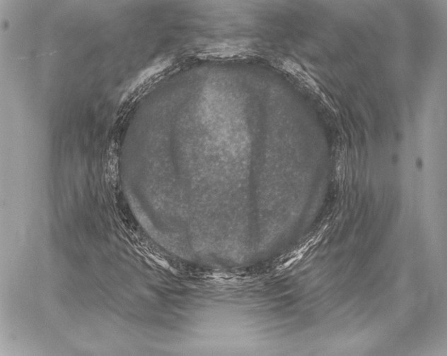 X0000059841350200511111734