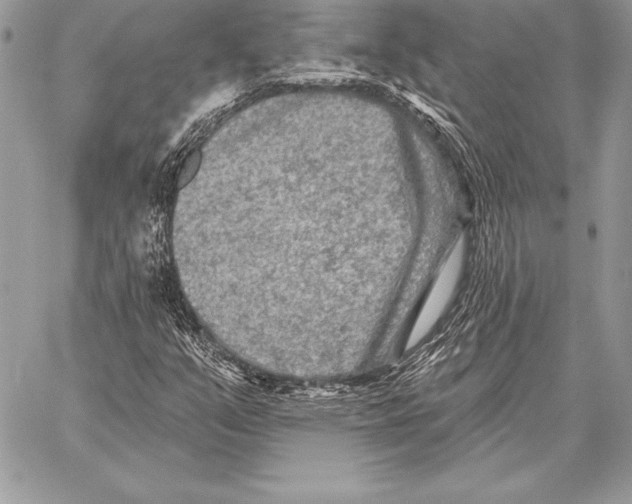 X0000059841351200511111734