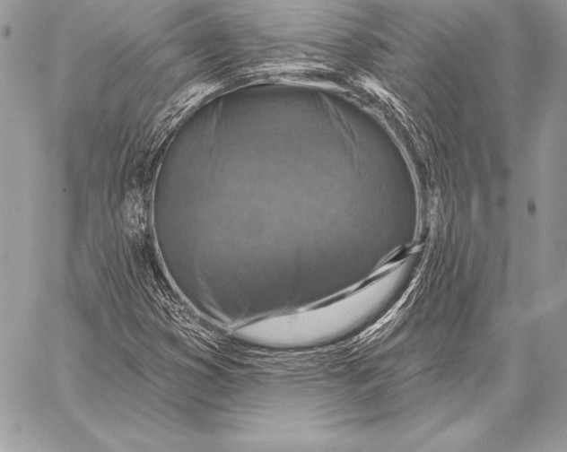 X0000059841353200511111734