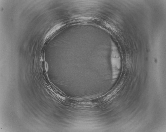 X0000059841354200511111734