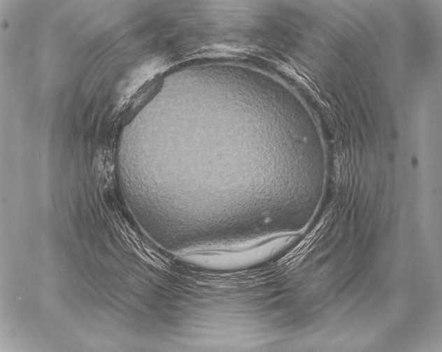 X0000059841355200511111734