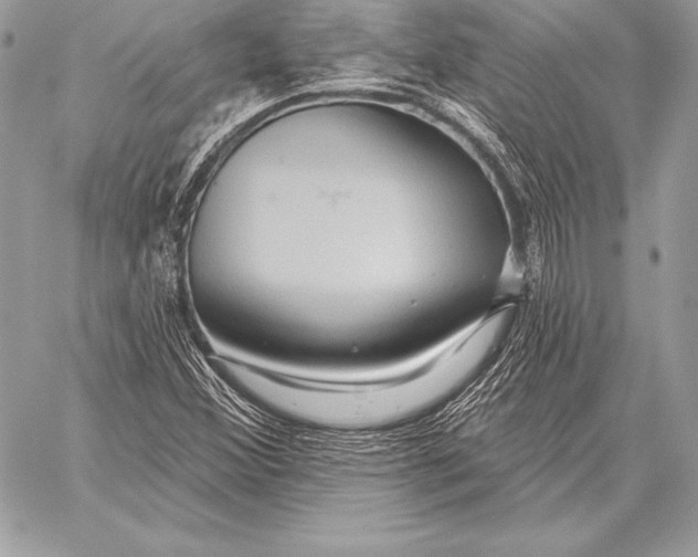 X0000059841356200511111734