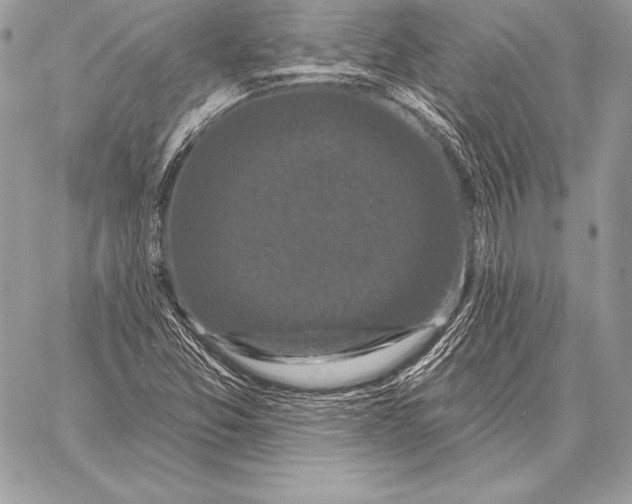 X0000059841357200511111734