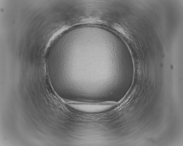 X0000059841358200511111734