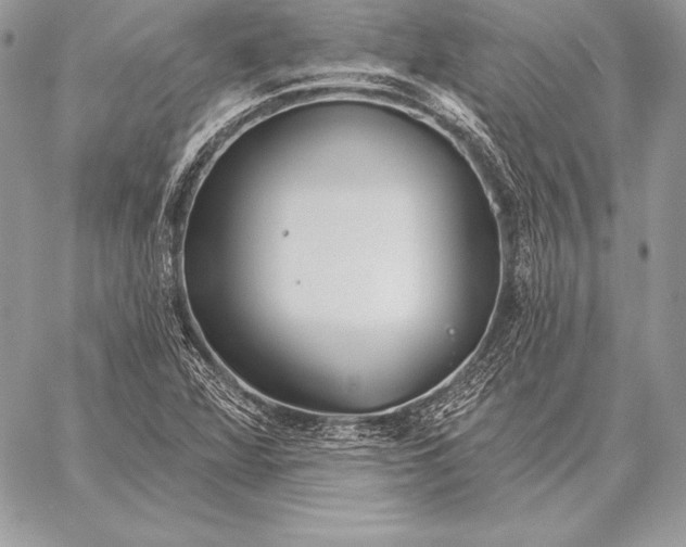 X0000059841360200511111734