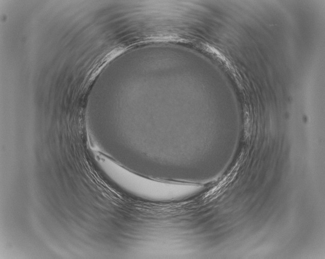 X0000059841361200511111734