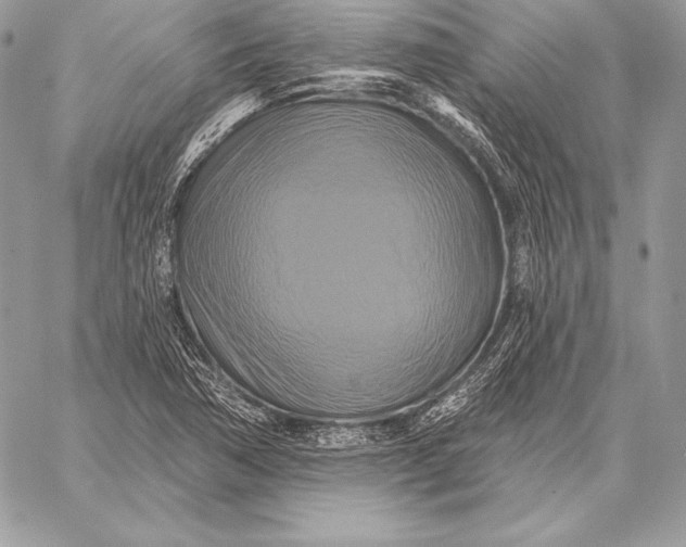 X0000059841362200511111734