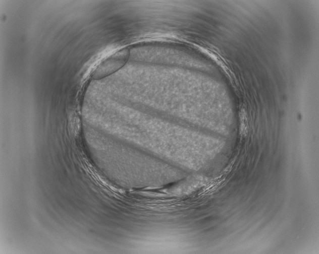 X0000059841363200511111734