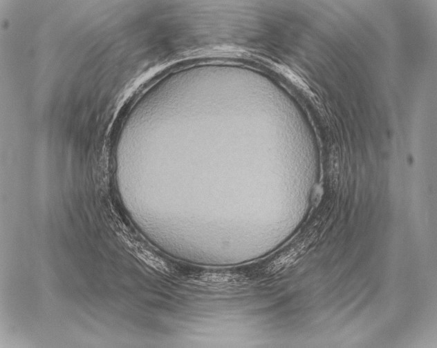 X0000059841364200511111734