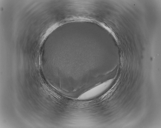 X0000059841365200511111734