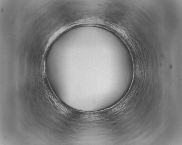 X0000059841366200511111734