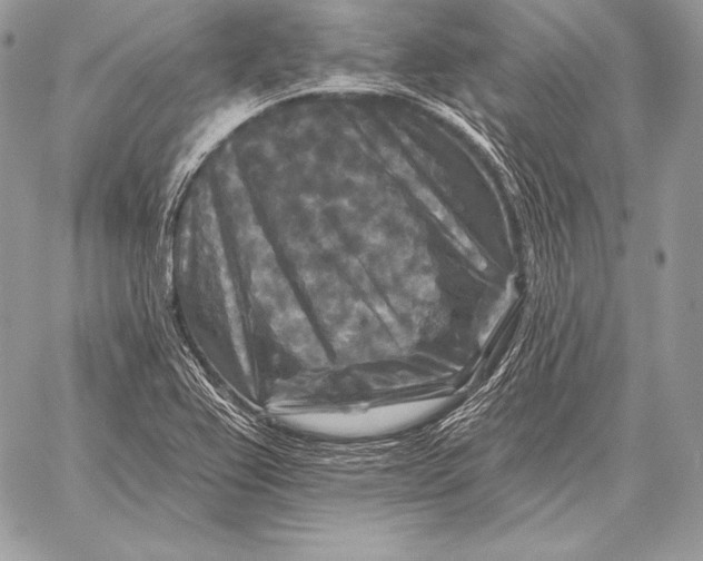 X0000059841367200511111734