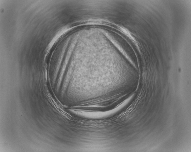 X0000059841368200511111734