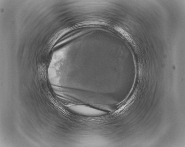 X0000059841369200511111734