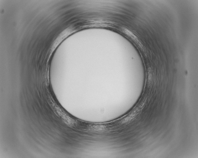 X0000059841370200511111734