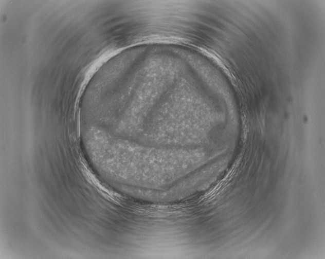 X0000059841371200511111734