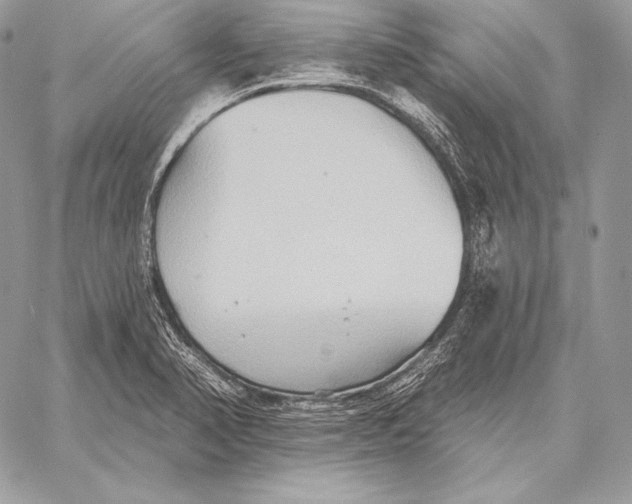 X0000059841374200511111733