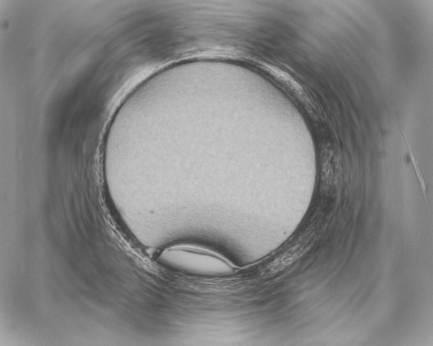 X0000059841375200511111733