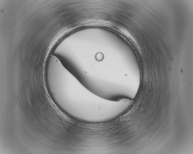 X0000059841376200511111733