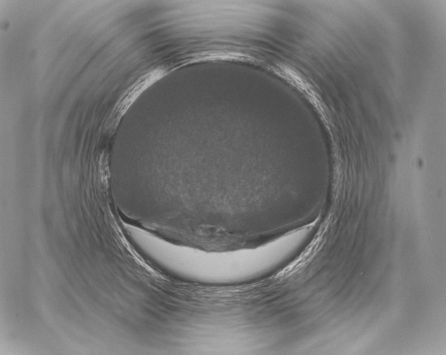 X0000059841377200511111733