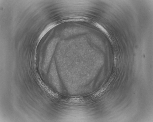 X0000059841378200511111733