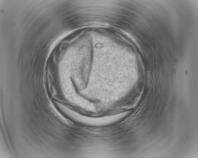 X0000059841379200511111733