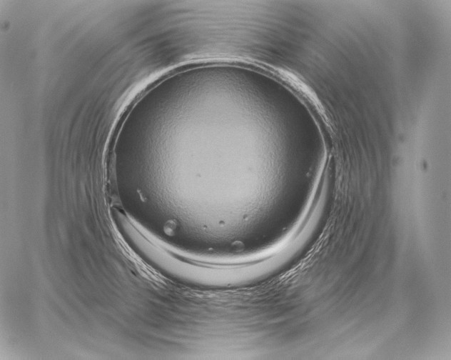 X0000059841380200511111733