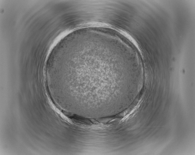 X0000059841381200511111733