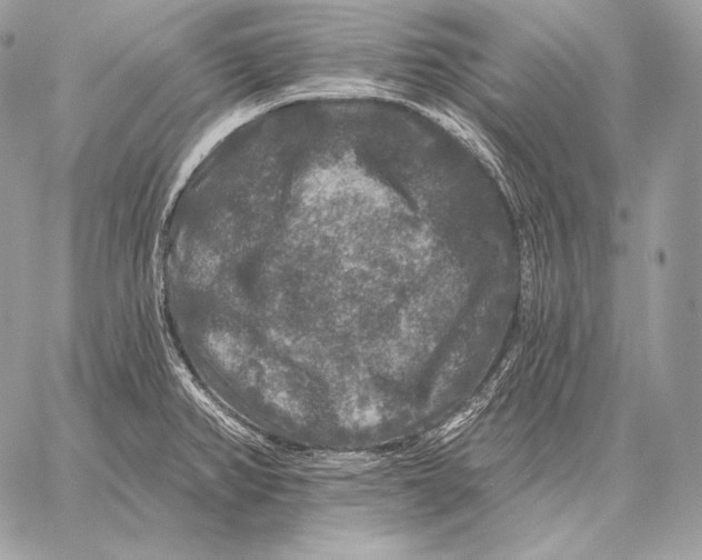 X0000059841382200511111733