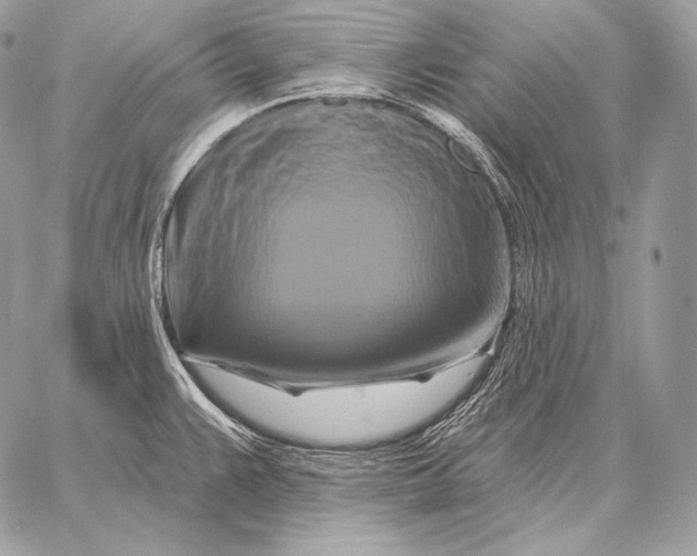 X0000059841383200511111733