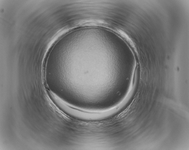 X0000059841384200511111733