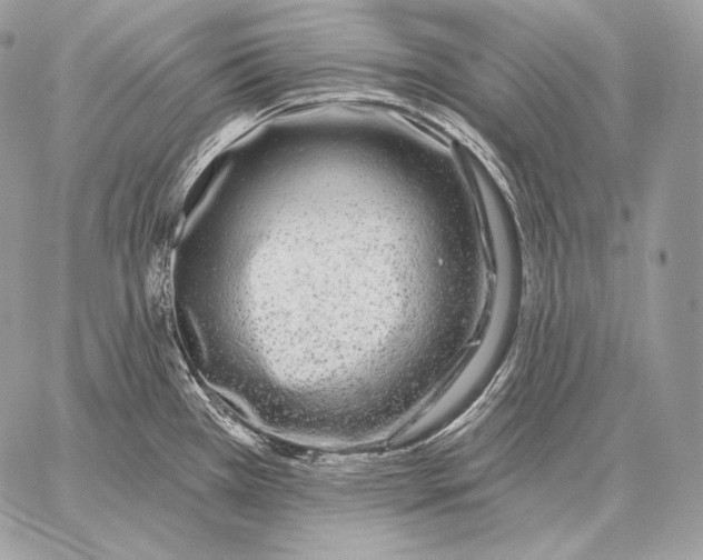 X0000059841385200511111733