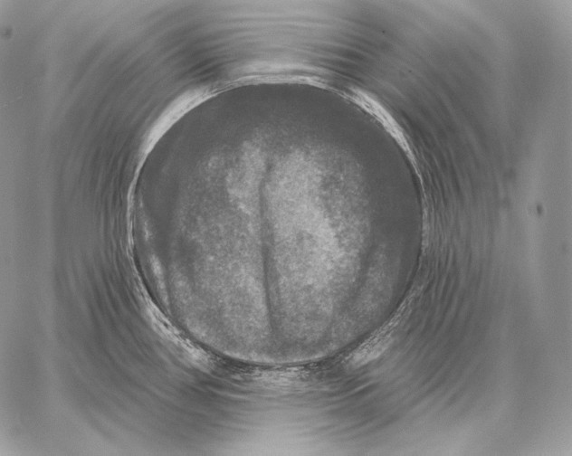 X0000059841386200511111733