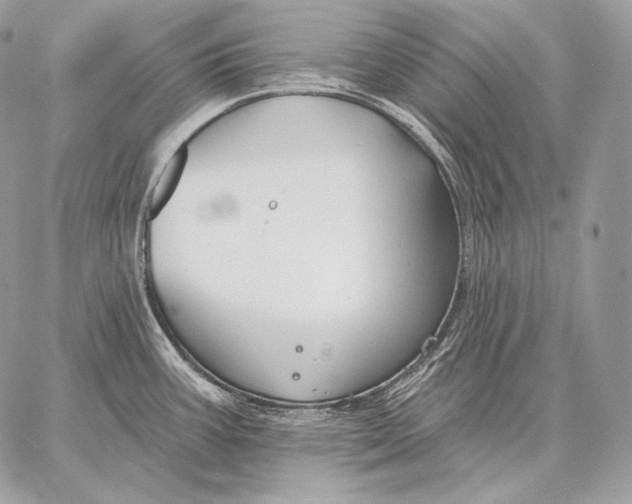 X0000059841387200511111733