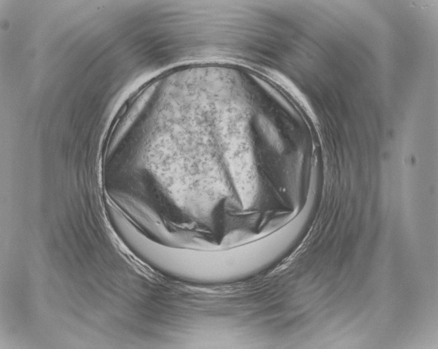 X0000059841388200511111733