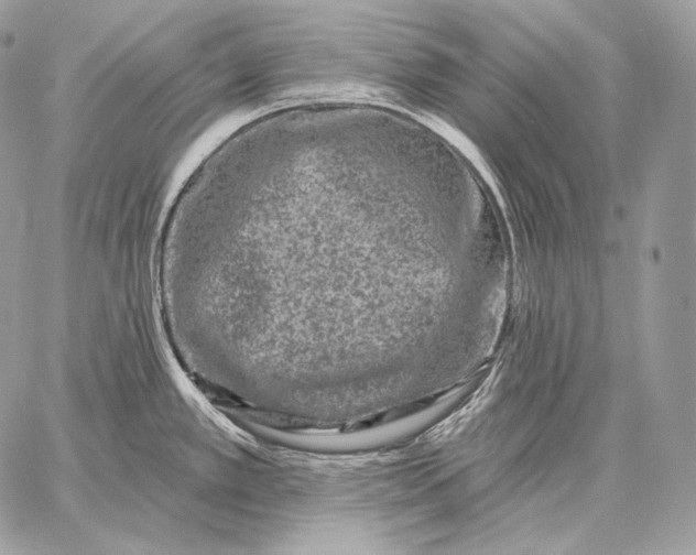 X0000059841389200511111733