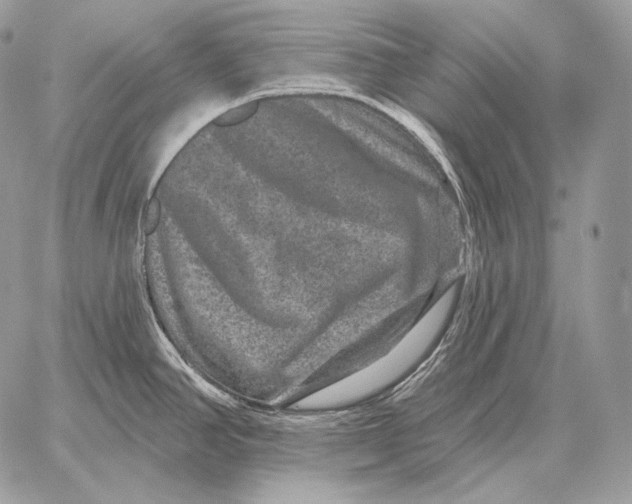 X0000059841390200511111733