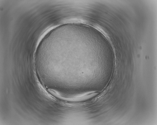 X0000059841392200511111733