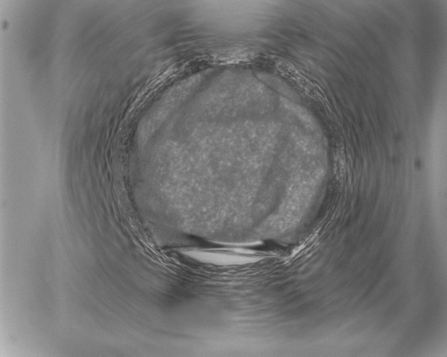 X0000059841393200511111732